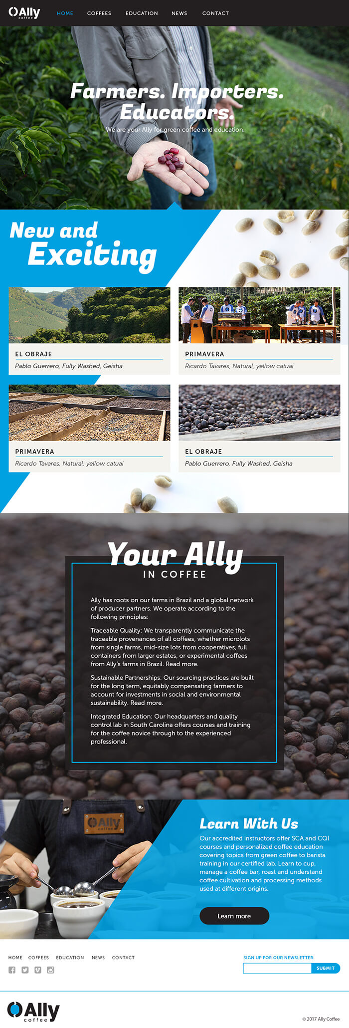 Ally Site Design